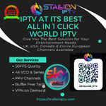 1780865600609_Main_Stallioniptv.com.png 1780865600609_Main_Stallioniptv.com.png